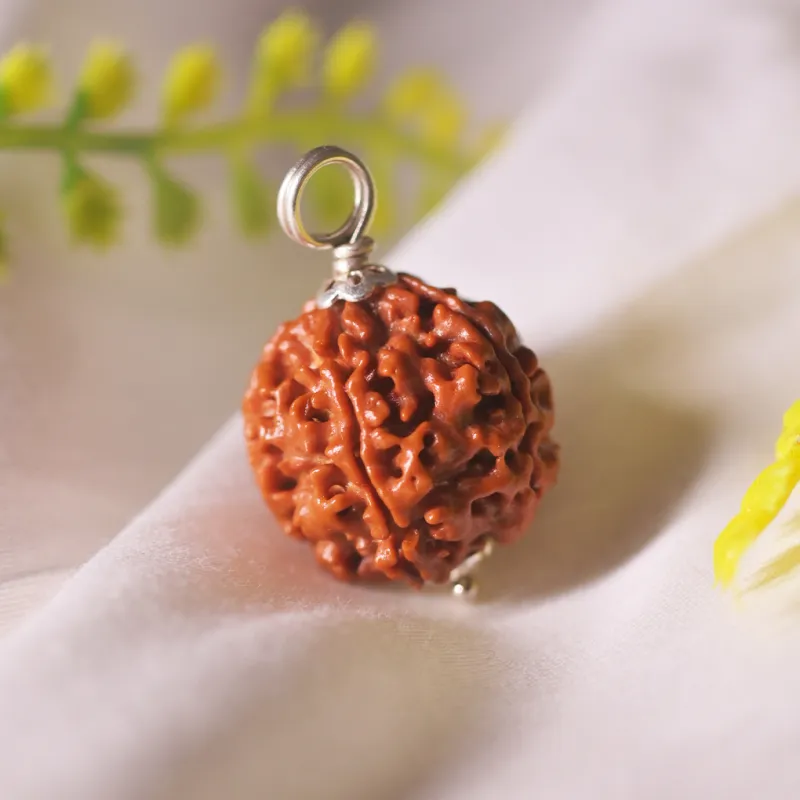 Rudraksha